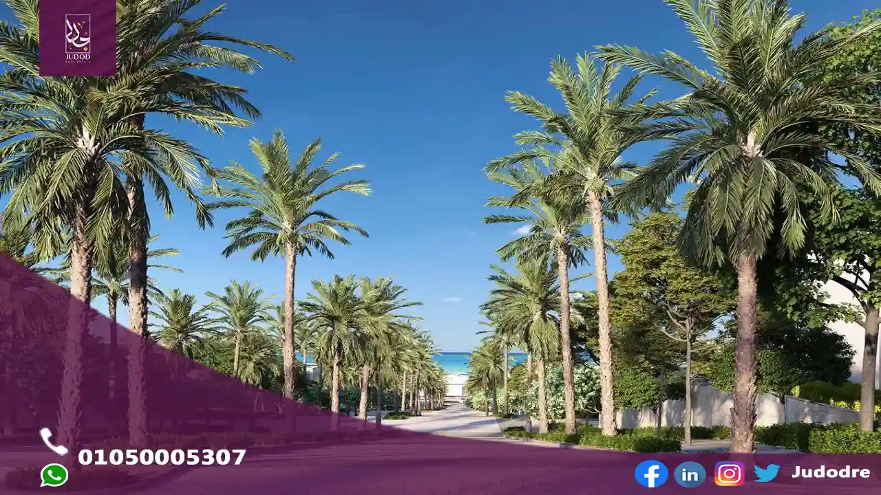 مشروع-القطامية-كوست