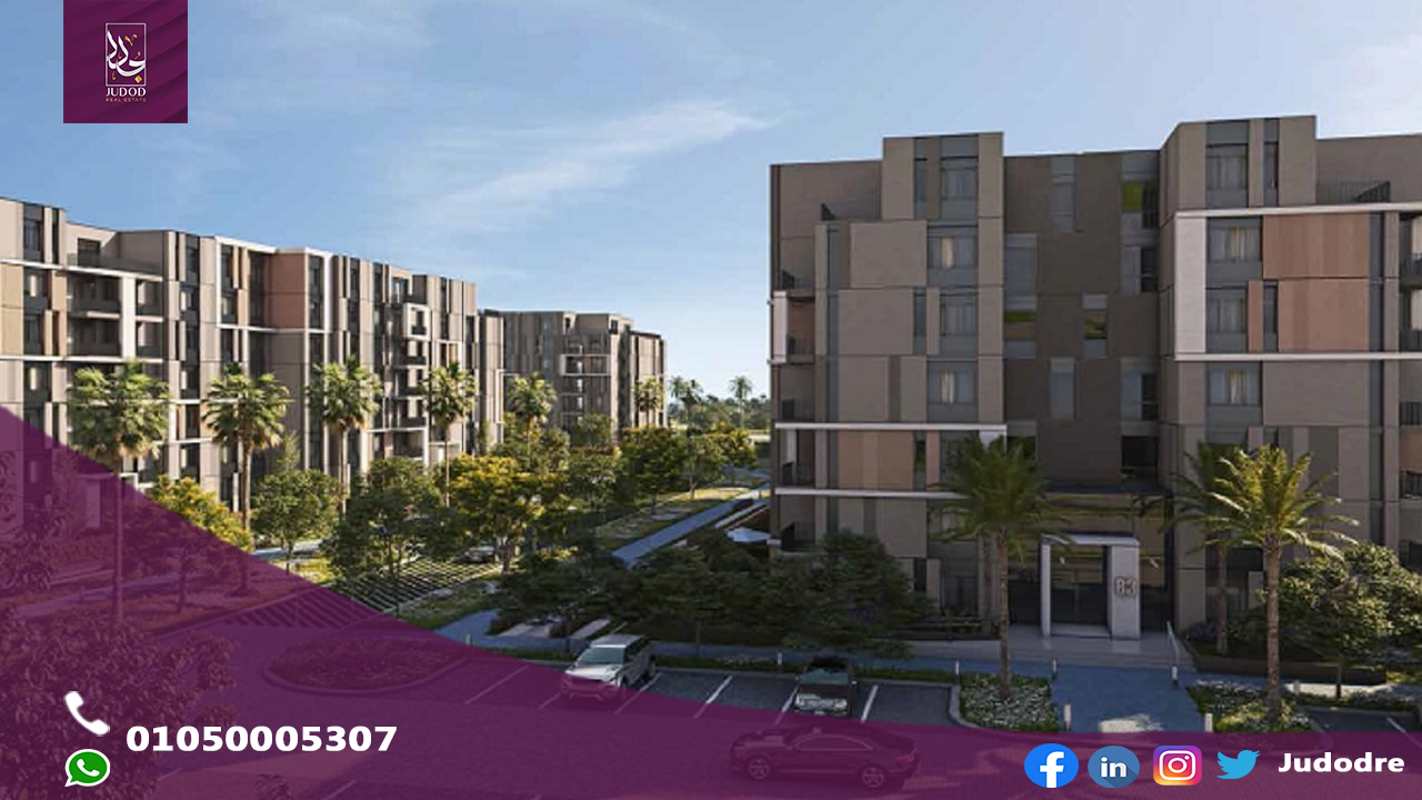 ذا-فينيكس-حسن-علام