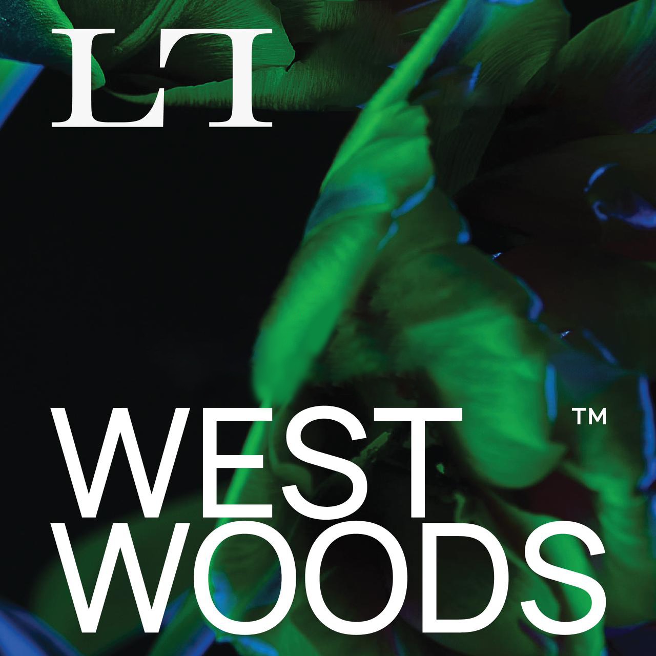 ويست وود اكتوبر  WEST WOOD OCTOBER