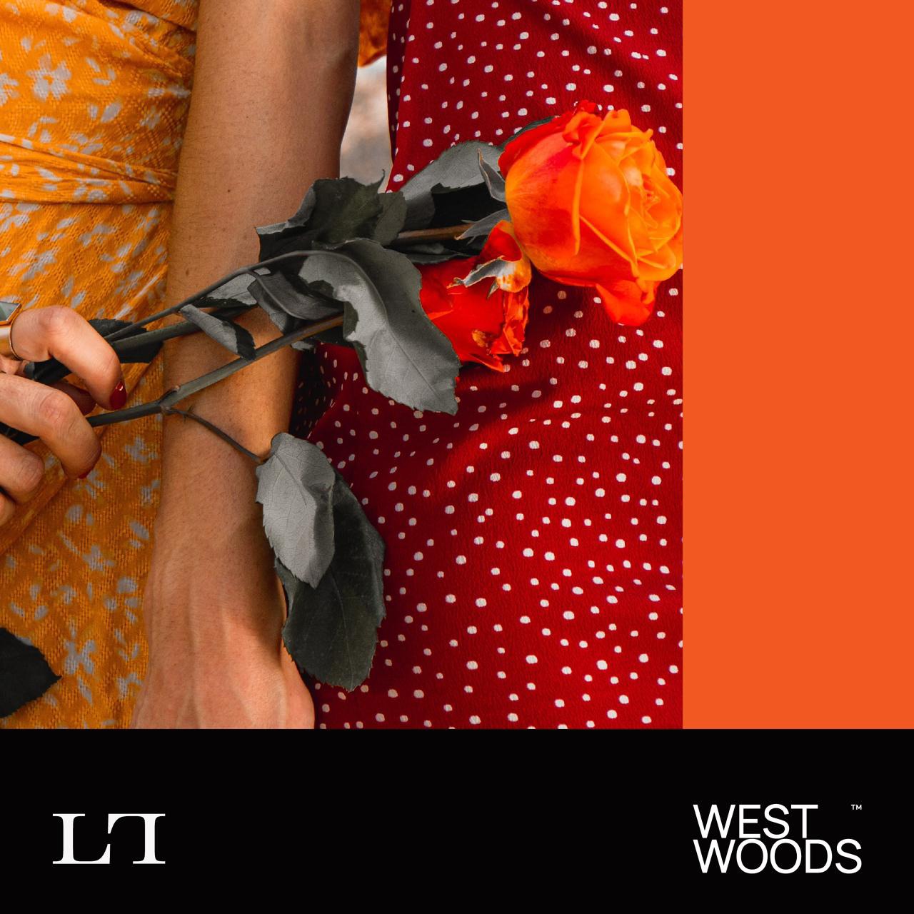 ويست وود اكتوبر  WEST WOOD OCTOBER